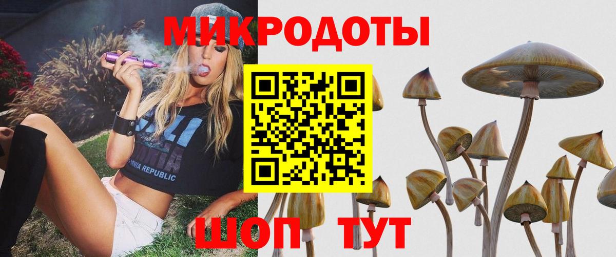 Псилоцибиновые грибы прущие грибы Шебекино