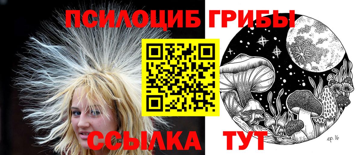 Шебекино  Псилоцибиновые грибы Magic Shrooms  Вход с VPN 
